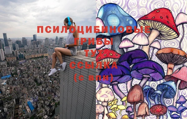 прущая мука Аркадак