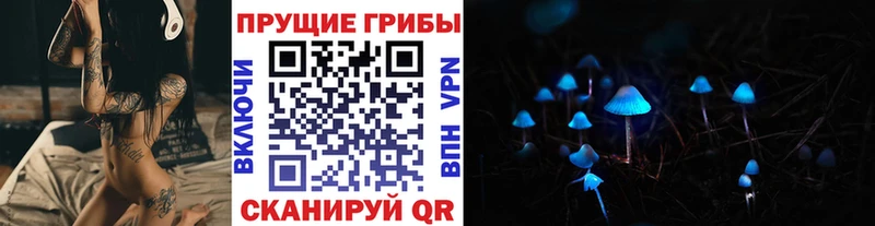 Галлюциногенные грибы MAGIC MUSHROOMS Богучар